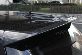 リアウイングリップ